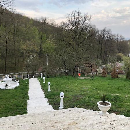 Pensiunea Medeea Ξενοδοχείο Pestis Εξωτερικό φωτογραφία